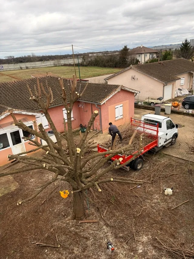 Élagage grande hauteur à Rhône par Rhône Nature Service